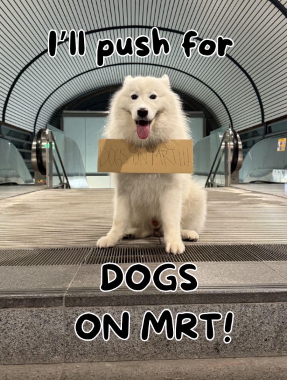 Singapore dog 'running for Paw-liament' meets PM Lawrence Wong